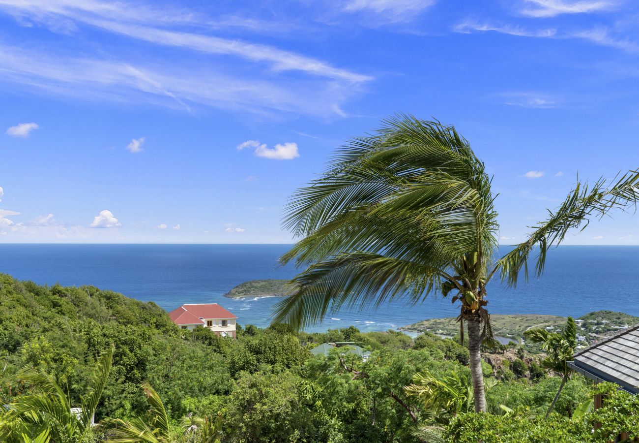 Bungalow à Saint Barthélemy - Star - Ocean view villa with private plunge pool